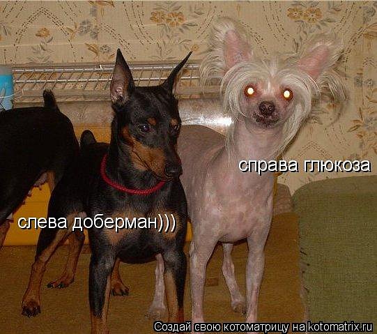 http://i020.radikal.ru/1003/36/47f44ba4e4ee.jpg