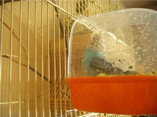 http://i021.radikal.ru/1003/f2/328e41696cde.jpg