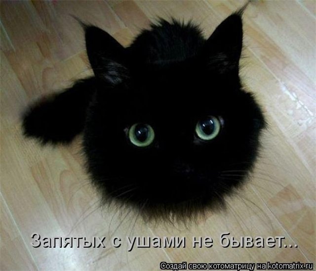 http://i017.radikal.ru/1010/a5/aba03472952b.jpg