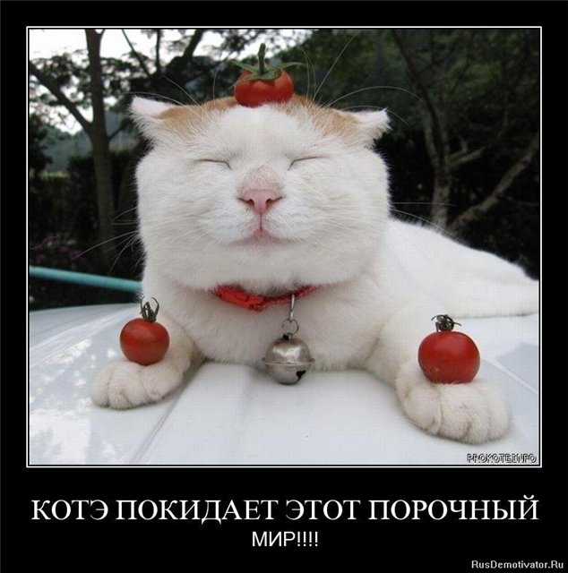 http://i025.radikal.ru/1011/10/60af70af0f6d.jpg