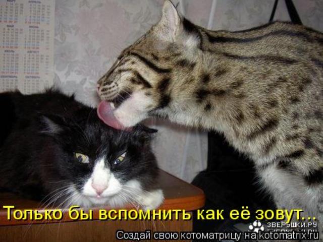 http://i025.radikal.ru/1011/20/a27990d1850a.jpg