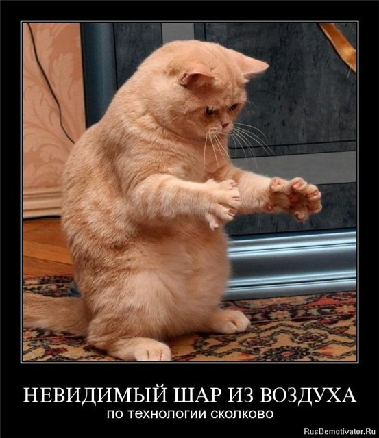 http://i027.radikal.ru/1011/5f/6ee44908d48a.jpg