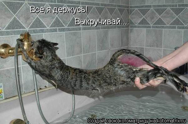 http://i045.radikal.ru/1011/ad/3669ecb1bea7.jpg