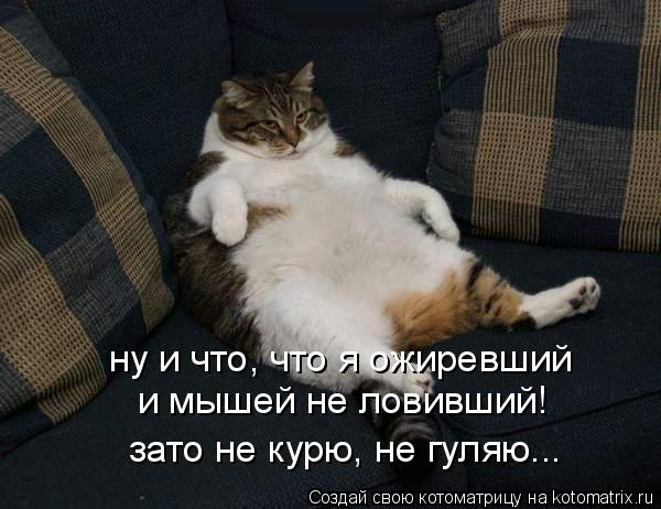 http://i022.radikal.ru/1011/e9/023104f3f9c1.jpg