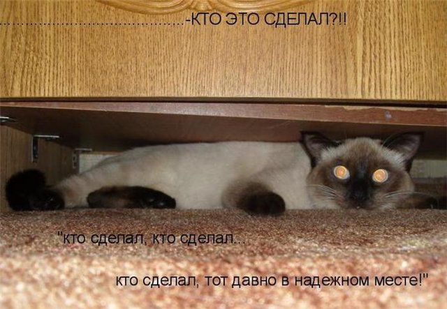 http://i082.radikal.ru/1011/fb/02c28c4a77ce.jpg
