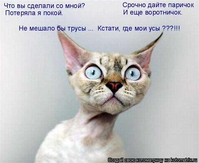http://i071.radikal.ru/1011/fd/3125a96029e5.jpg