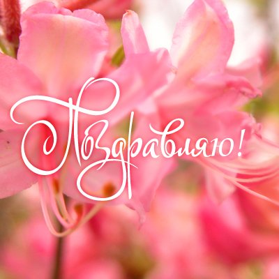 http://i082.radikal.ru/1106/bd/2e1e98fce972.jpg