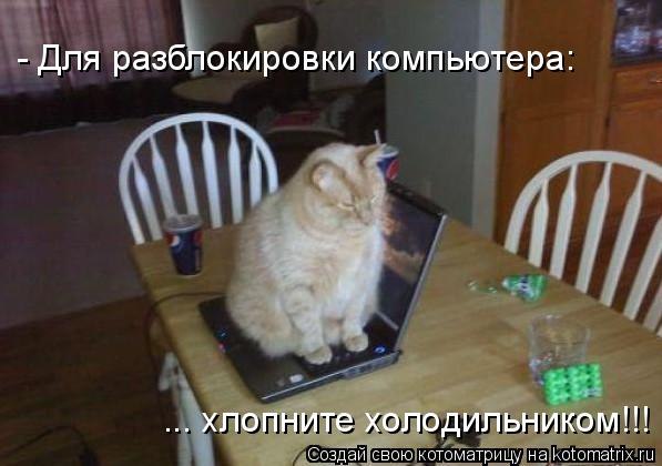 http://i001.radikal.ru/1203/76/365ab62abd43.jpg