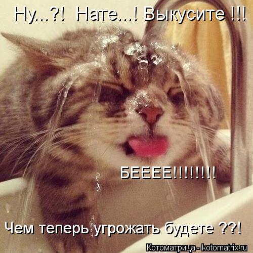 http://i058.radikal.ru/1303/1e/703b363c9dff.jpg