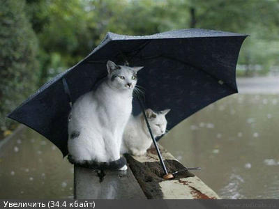 http://savepic.su/1380837m.jpg
