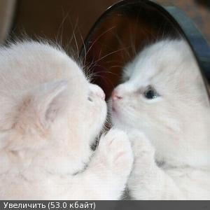 http://savepic.su/1494284m.jpg
