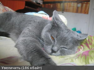 http://savepic.su/1508508m.jpg
