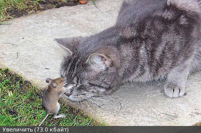 http://savepic.su/1599861m.jpg