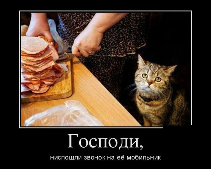 http://s6.uploads.ru/1F2ZN.jpg