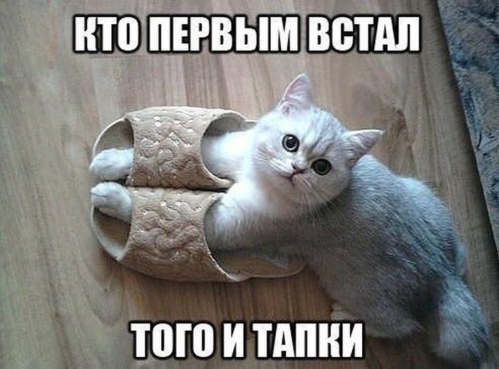 http://s6.uploads.ru/1on0M.jpg