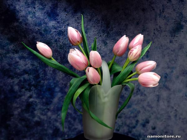 http://savepic.su/430664.jpg