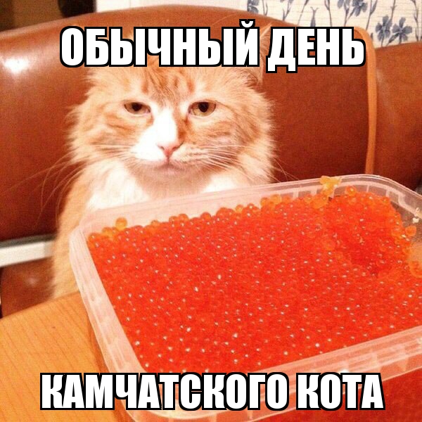 http://s7.uploads.ru/5VlA1.jpg