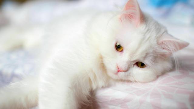http://s6.uploads.ru/6DuNG.jpg