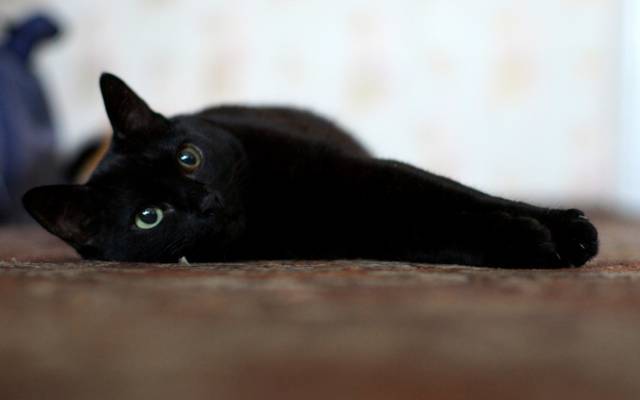 http://s7.uploads.ru/F0XqH.jpg