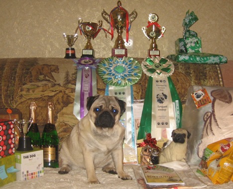 http://s7.uploads.ru/IMKhp.jpg