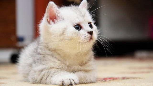 http://s3.uploads.ru/IyD19.jpg