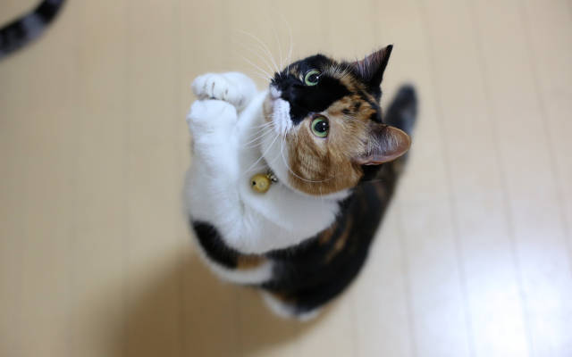 http://s0.uploads.ru/JFcb3.jpg