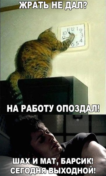 http://s0.uploads.ru/Ng2MV.jpg
