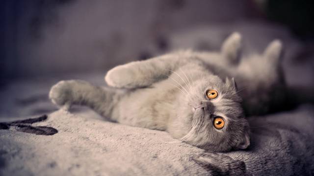 http://s7.uploads.ru/Rs3bF.jpg