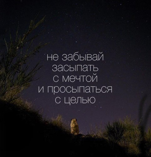 http://sa.uploads.ru/TrV5e.jpg