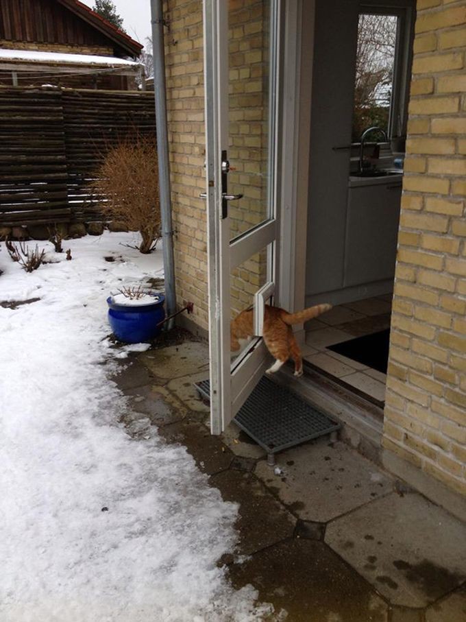 http://goodnewsanimal.ru/_nw/48/14973727.jpg