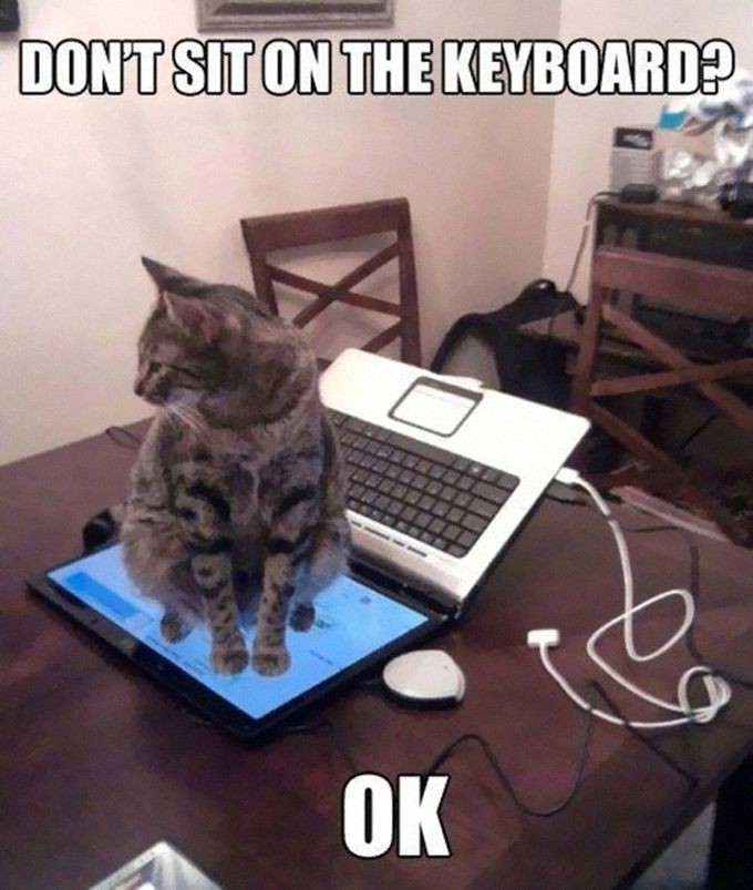 http://goodnewsanimal.ru/_nw/48/39182830.jpg