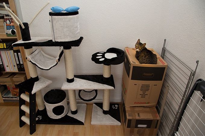 http://goodnewsanimal.ru/_nw/48/65983954.jpg