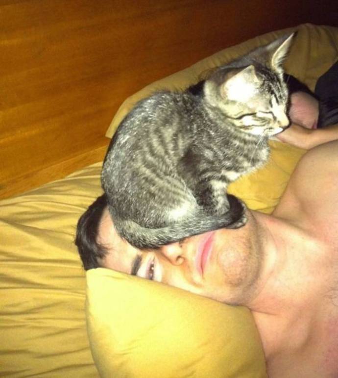 http://goodnewsanimal.ru/_nw/48/s30188002.jpg
