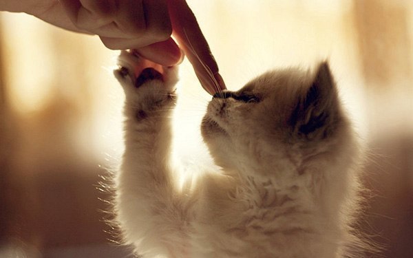 https://content.foto.my.mail.ru/community/biznes_zapiski/_groupsphoto/h-22061.jpg