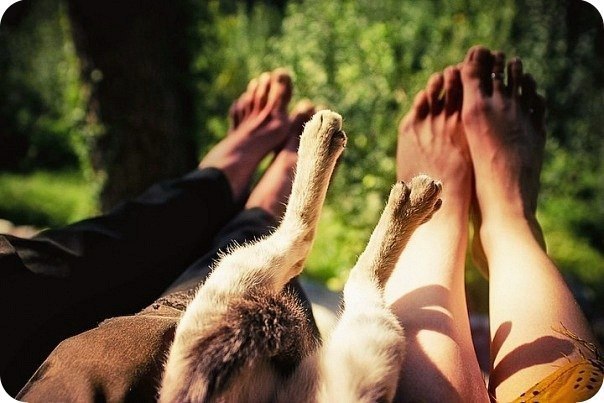 https://content.foto.my.mail.ru/community/dumaib/_groupsphoto/h-14440.jpg