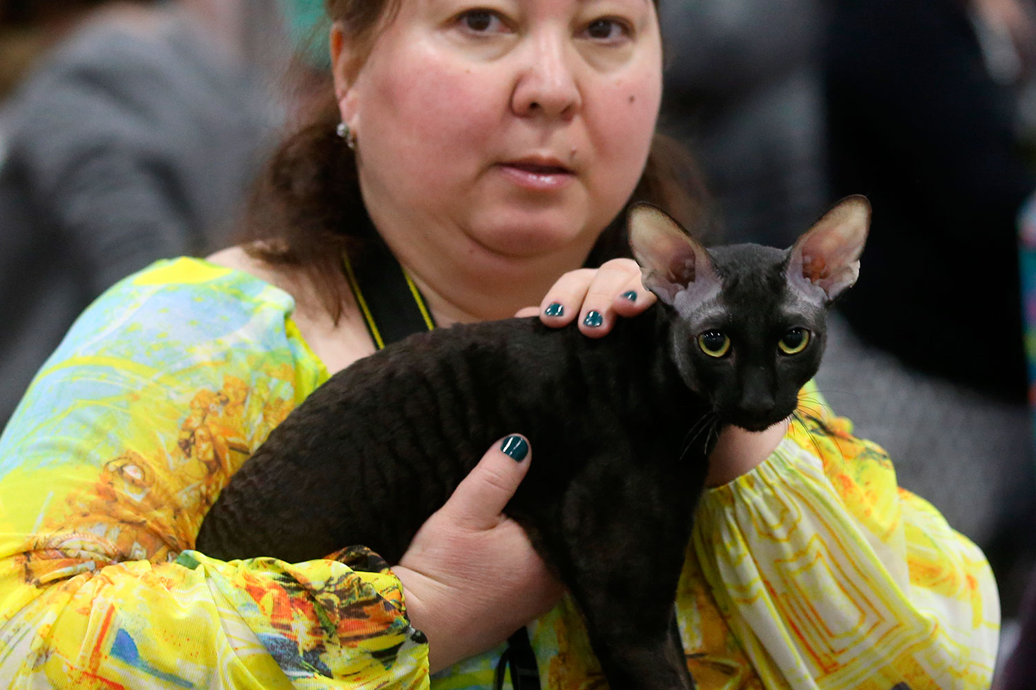http://img.gazeta.ru/files3/181/8074181/upload-RIAN_02791006.HR.ru-pic4_zoom-1500x1500-33200.jpg