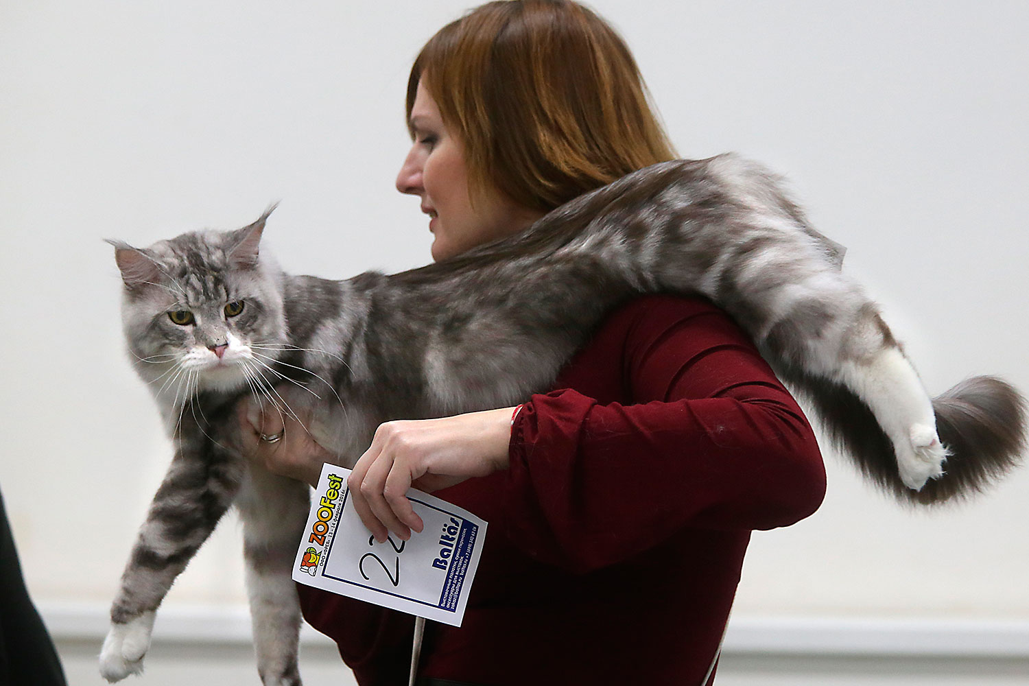 http://img.gazeta.ru/files3/193/8074193/upload-RIAN_02791009.HR.ru-pic4_zoom-1500x1500-90118.jpg