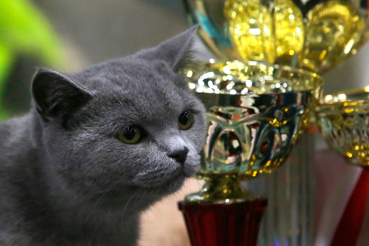 http://img.gazeta.ru/files3/211/8074211/upload-RIAN_02791028.HR.ru-pic4_zoom-1500x1500-71278.jpg