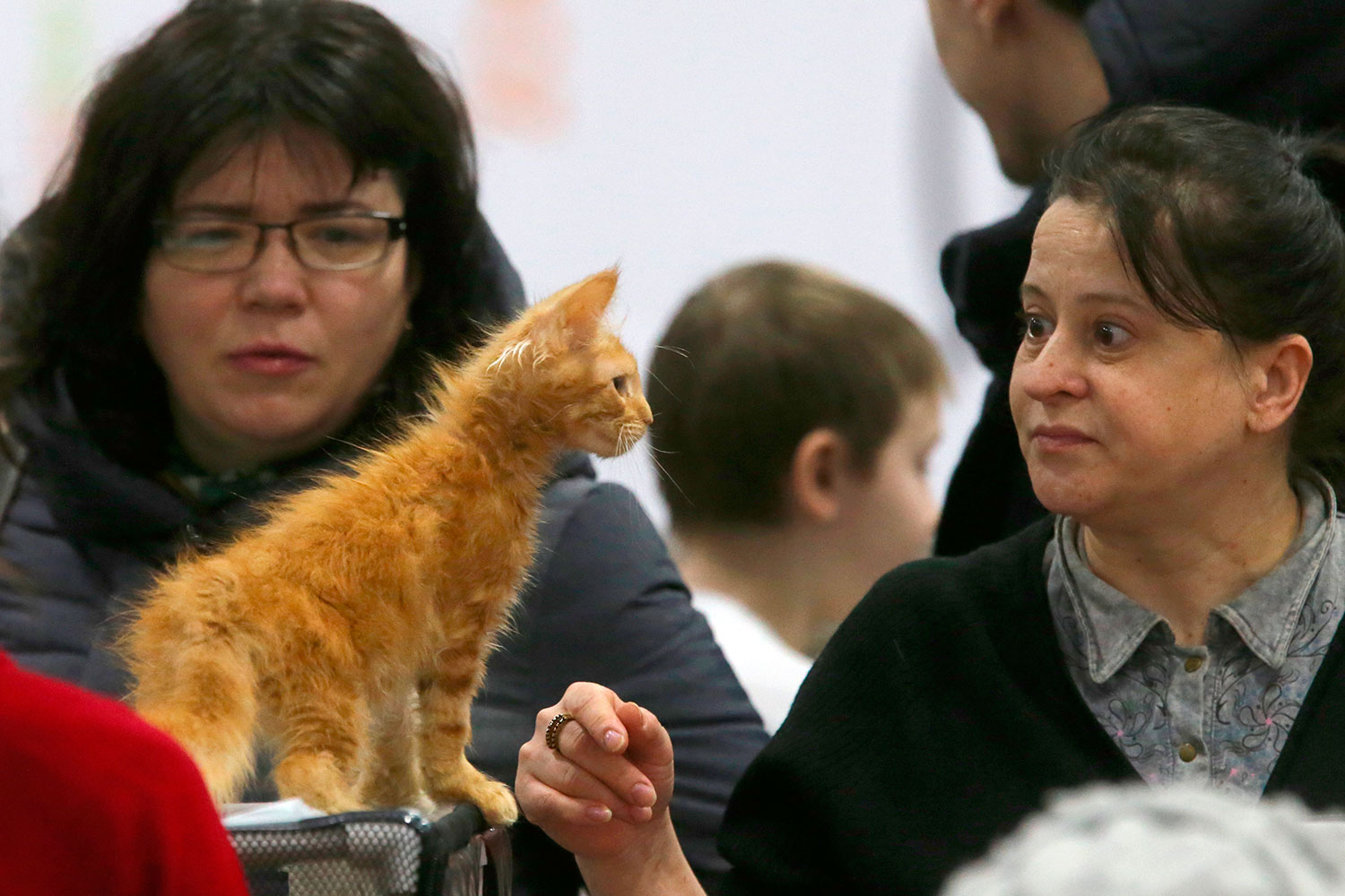 http://img.gazeta.ru/files3/217/8074217/upload-RIAN_02791029.HR.ru-pic4_zoom-1500x1500-94769.jpg