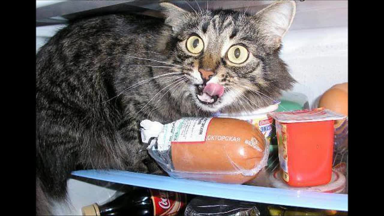 http://vdp.mycdn.me/getImage?id=19353897584&amp;idx=1&amp;thumbType=37