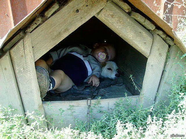 http://s6.uploads.ru/hdwKo.jpg