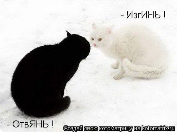 http://s39.radikal.ru/i086/1011/8b/b81cfbcbb238.jpg