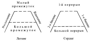 http://s40.radikal.ru/i087/1003/19/2e191aac3c5c.jpg