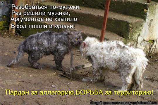 http://s40.radikal.ru/i087/1011/16/ad377d7a8fd4.jpg