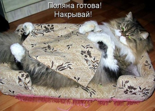 http://s40.radikal.ru/i089/1202/6e/7789ed81082d.jpg