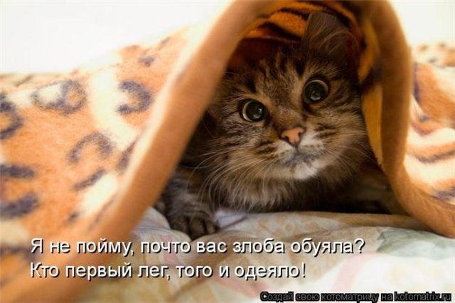 http://s41.radikal.ru/i091/1011/78/09c80b109a18.jpg
