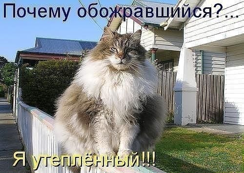 http://s42.radikal.ru/i098/1303/f3/23f4ba15f397.jpg