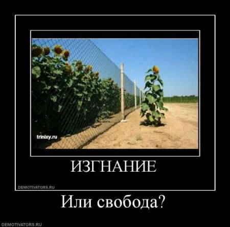 http://s47.radikal.ru/i115/1107/83/8cc8a1b3884b.jpg