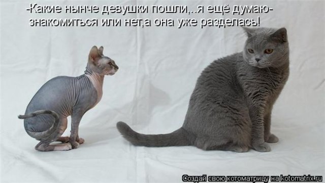 http://s50.radikal.ru/i127/1010/31/e39513b89910.jpg