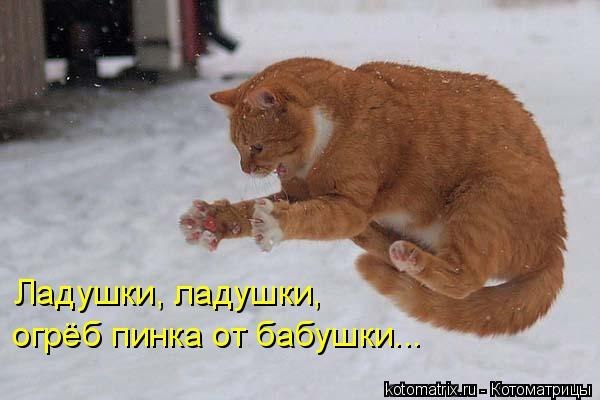 http://s50.radikal.ru/i128/1203/7a/c932bfef952e.jpg